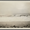 View. Beach in Montauk. Surf at Hither Plain. Montauk, East Hampton