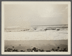 View. Beach in Montauk. Surf at Hither Plain. Montauk, East Hampton