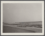 View. Beach in Montauk. Surf at Hither Plain. Montauk, East Hampton
