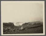 View at Parsons. Montauk, East Hampton