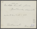 Hilma Smith's Cottage, called "The Wave Crest" in 1924, oceanside. Montauk, East Hampton