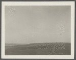 View. Shore at Hither Plains Life Savings Station. Surfing near Parsons Inn. Montauk, East Hampton