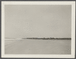 View. Shore at Hither Plains Life Savings Station. Surfing near Parsons Inn. Montauk, East Hampton