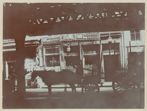 The American Institute of Social Service Exhibition, Photographs, 1905