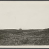 Dickson's Cottage. View of cottage up hill north of Parsons Inn. Montauk, East Hampton