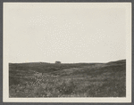 Dickson's Cottage. View of cottage up hill north of Parsons Inn. Montauk, East Hampton
