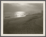 View of shore at Hither Plains. Montauk, East Hampton