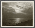 View of shore at Hither Plains. Montauk, East Hampton