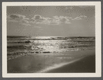 View of shore at Hither Plains. Montauk, East Hampton