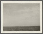View of part of Great Pond. Montauk, East Hampton