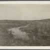 View west of Great Pond. Lighthouse in distance. Montauk, East Hampton