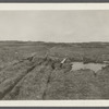 View between Fort Pond and Great Pond. Montauk, East Hampton