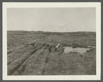 View between Fort Pond and Great Pond. Montauk, East Hampton