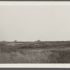 Montauk Association. Houses on hill looking east, just east of Ditch Plains Life Savings Station. Montauk, East Hampton