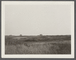 Montauk Association. Houses on hill looking east, just east of Ditch Plains Life Savings Station. Montauk, East Hampton