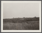 Montauk Association. Houses on hill looking east, just east of Ditch Plains Life Savings Station. Montauk, East Hampton