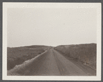 View of road just west of Third House looking east. Montauk, East Hampton