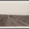 View of road just west of Third House looking east. Montauk, East Hampton