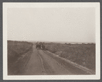 View of road just west of Third House looking east. Montauk, East Hampton