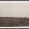Building. Shooting Lodge, west of Third House. Montauk, East Hampton