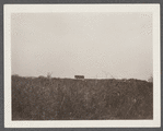 Building. Shooting Lodge, west of Third House. Montauk, East Hampton
