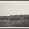 Montauk Association. Houses on hill just east of Ditch Plains Life Savings Station. Montauk, East Hampton