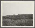 Montauk Association. Houses on hill just east of Ditch Plains Life Savings Station. Montauk, East Hampton