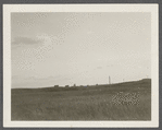 Houses on Hill (Montauk Association). Ditch Plains Life Savings Station. Montauk, East Hampton