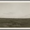 Houses on Hill (Montauk Association). Ditch Plains Life Savings Station. Montauk, East Hampton