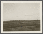 View of Ditch Plains Life Savings Station and Montauk Association Houses. Montauk, East Hampton