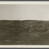 View of ground torn up for a road west of Great Pond on north side of Montauk Highway. Montauk, East Hampton