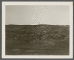 View of ground torn up for a road west of Great Pond on north side of Montauk Highway. Montauk, East Hampton