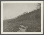 View west of Great Pond. Montauk, East Hampton