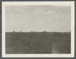 Montauk Association Houses looking south. Montauk, East Hampton