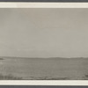 View of Great Pond looking northeast. Montauk, East Hampton
