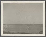 View of Great Pond looking northeast. Montauk, East Hampton