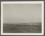 View of Great Pond. Montauk, East Hampton