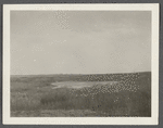 View looking southeast to Montauk Association Houses. Montauk, East Hampton