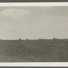 Montauk Association Houses. Montauk, East Hampton