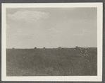 Montauk Association Houses. Montauk, East Hampton