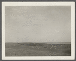 View near the Great Pond. Montauk Light in distance. Montauk, East Hampton