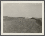 View of Great Pond and the Montauk Association Houses. Montauk, East Hampton