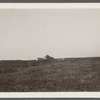 The Third House on Montauk Peninsula, about 1/2  mile inland. Montauk, East Hampton