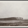 View. Star Island In Lake Wyandanch. Montauk, East Hampton