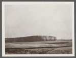 View. Star Island In Lake Wyandanch. Montauk, East Hampton