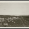 Stonewall running from Fort Pond to Great Pond and former Montauk Inn. Montauk, East Hampton