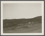 View east of Fort Pond. Surveyors at work. Montauk, East Hampton