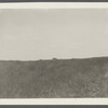 Some of [the] Montauk Association Houses. View looking west. Montauk, East Hampton