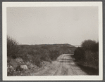 Montauk Point. Lighthouse in distance. Montauk, East Hampton