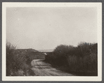 View of Montauk Point west of Lighthouse. Montauk, East Hampton